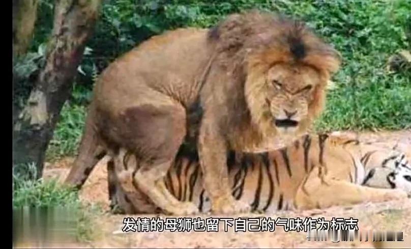 没网络的世界，我们在干啥呢？
回忆十八九岁的时光，也开心啊！我在小学当老师，还挂