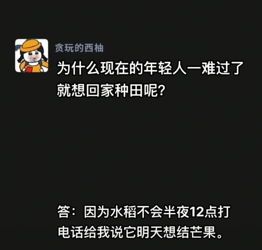 为什么年轻人一难过就想回家种田#新年快乐漫游指南##新年接龙大会# ​​​