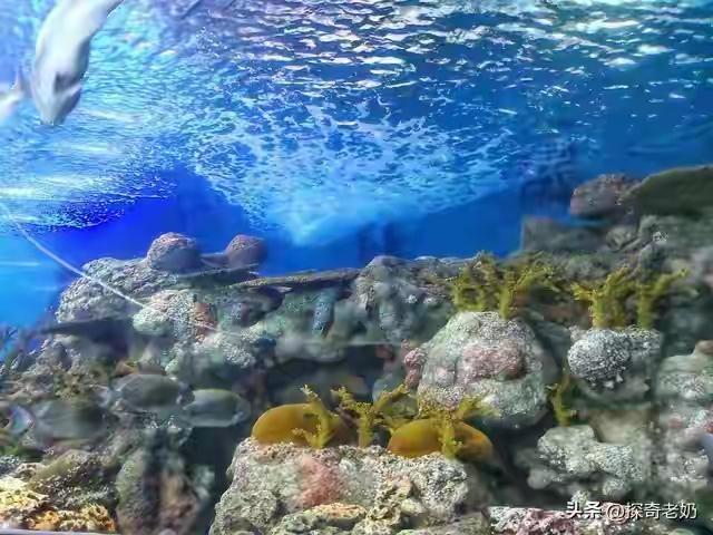 菲律宾船只在仁爱礁海域主动挑起摩擦，执法人员出手袭击我方海警工作人员，我方不再一