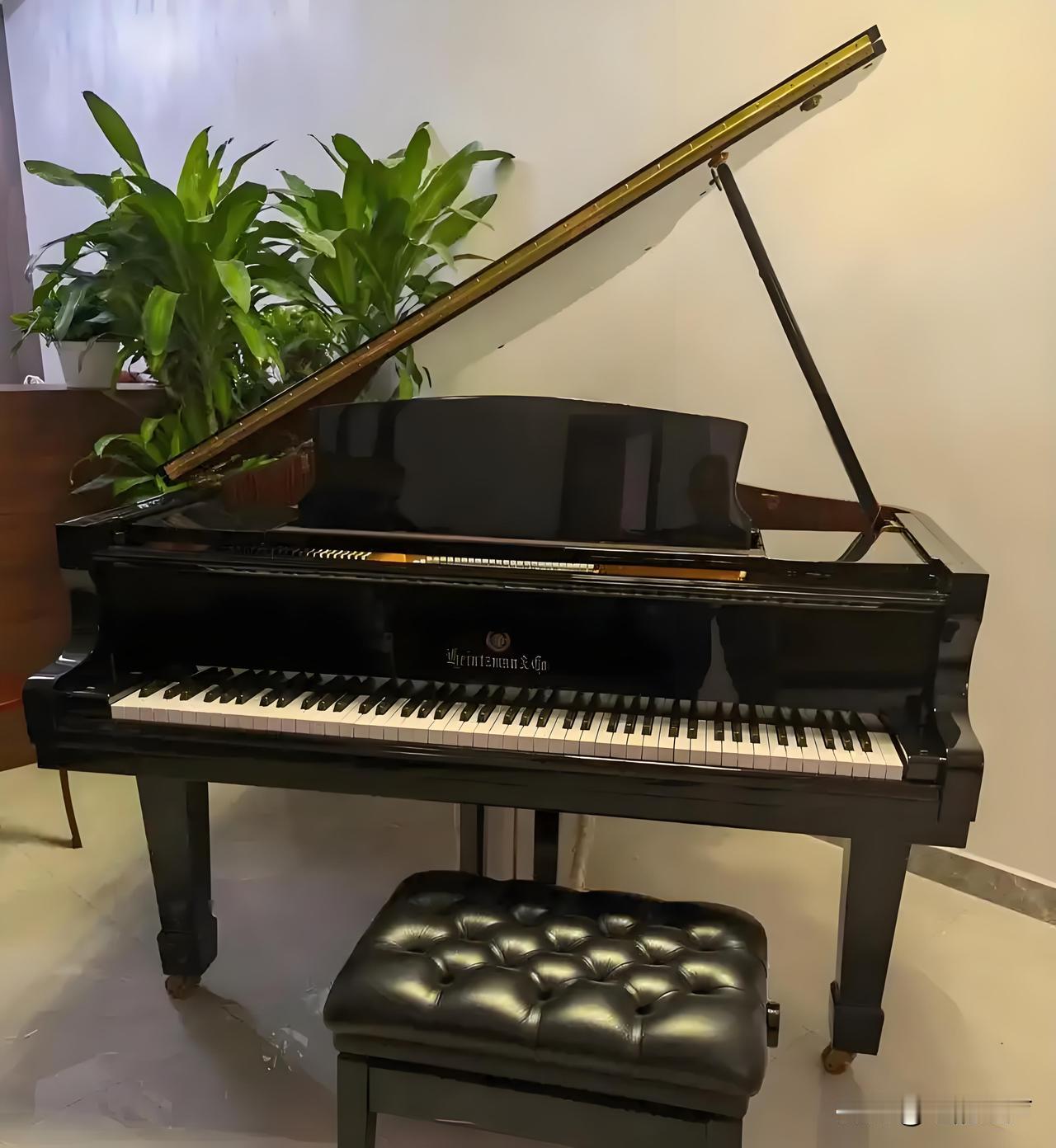 学钢琴,应该看着五线谱练琴吗?学习钢琴优先推荐看五线谱，因为这是钢琴演奏的标准记