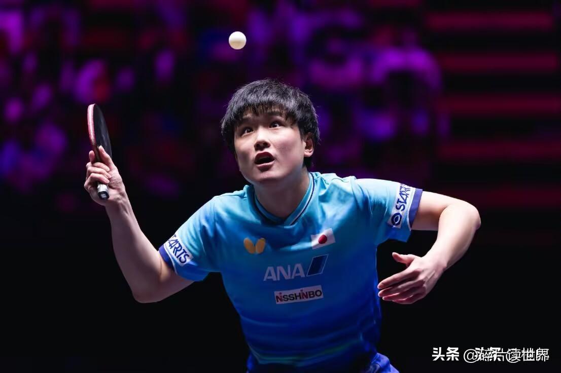 张本智和这下不狂了，不是因为被周启豪打的满地找牙，而是输球时刻，面对现场女球迷的