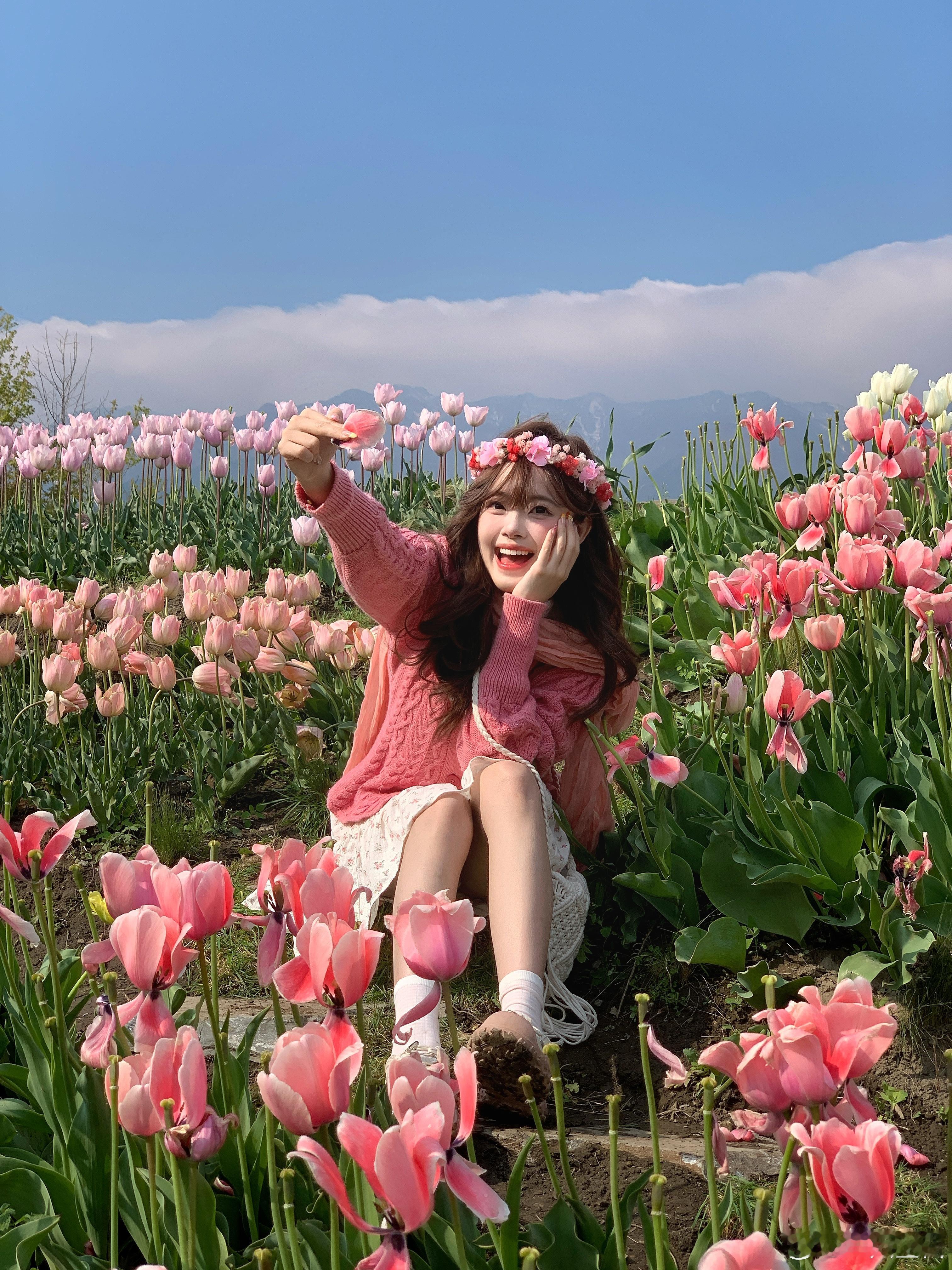 梦到一郁金香花海🪷🌷萱宝的快乐驿站[超话]  ​​​