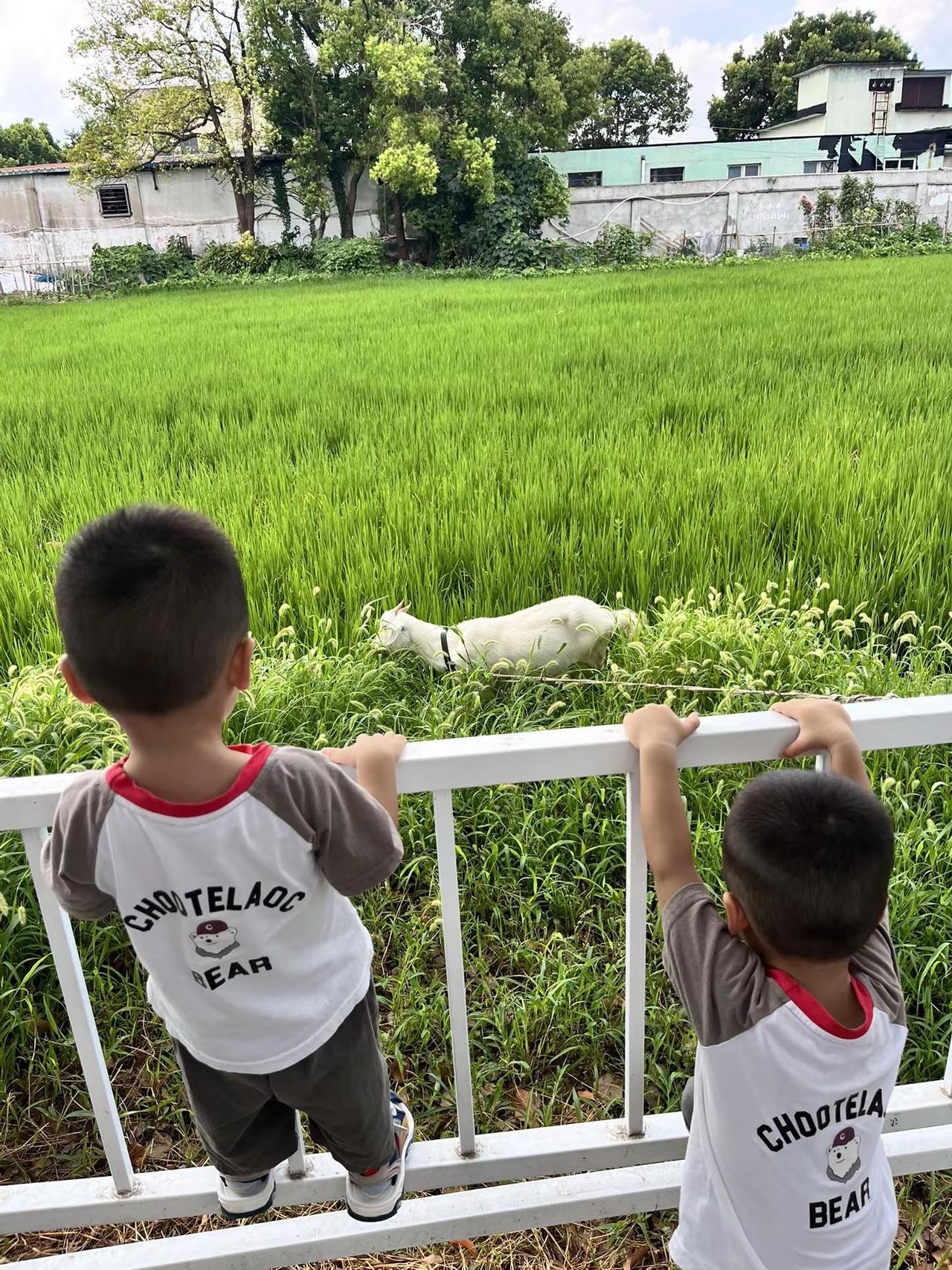 慢慢长大的少年郎！人类幼崽打开夏天的方式 日常遛娃系列每一刻都值得被记录 我的小