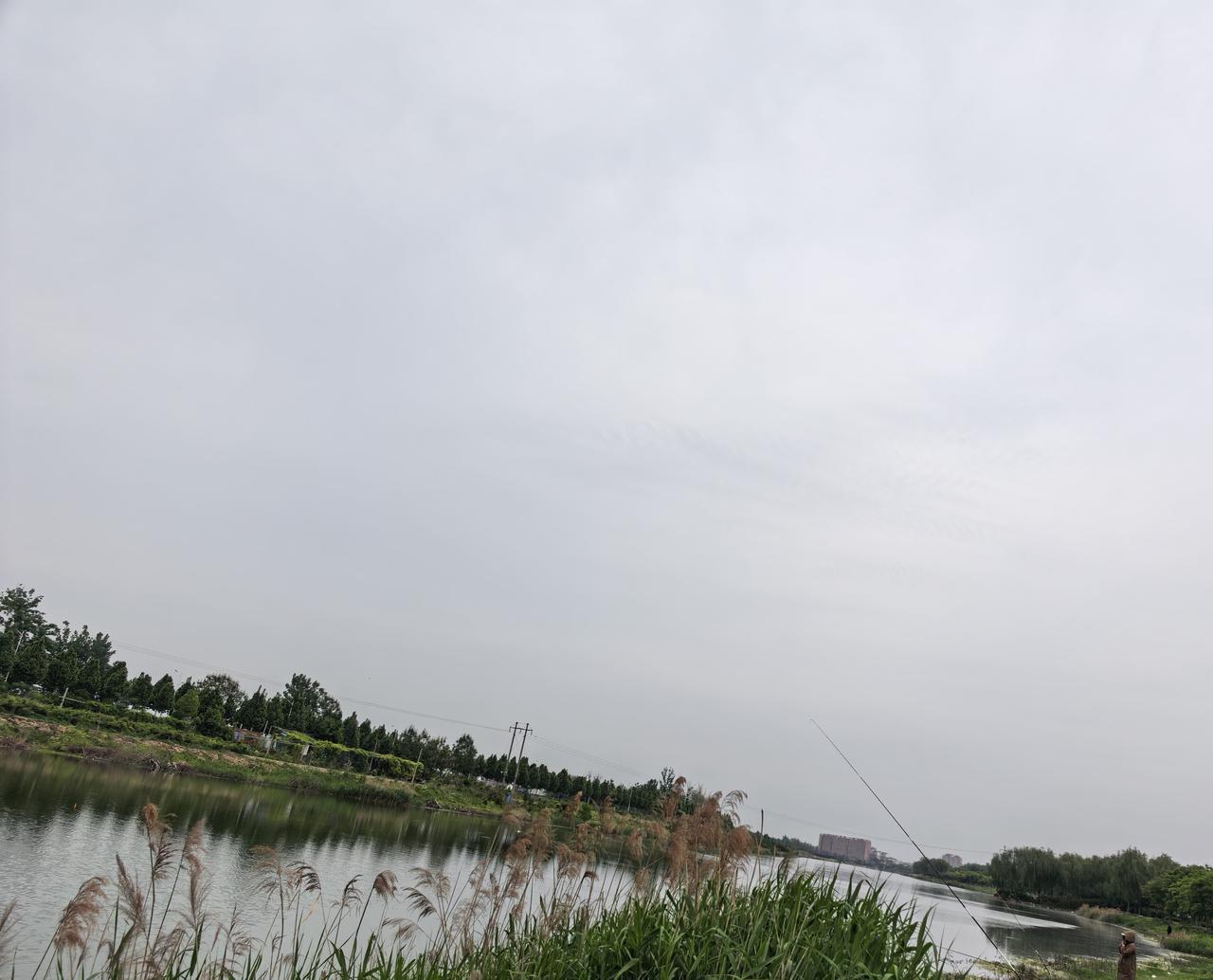 宋代老赵虽说武将出身，手腕却很高明。
他约束后宫，外戚专权的现象基本没有，约束宦