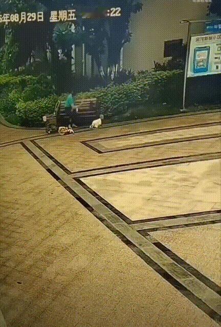 太气人了！奶奶不想宝宝总呆在屋里，就抱着孩子到楼下的椅子旁让宝宝自己爬行探索。谁
