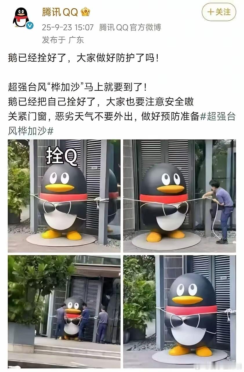 桦加沙登陆广东对不起，这个我不应该笑的，但是我真的没忍住！[允悲] ​​​