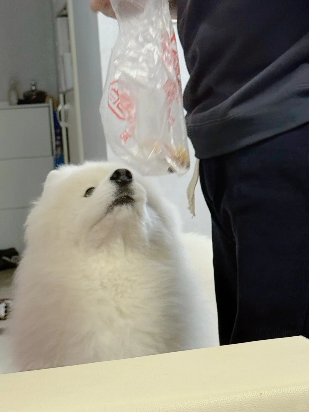 我吃！我吃！能不能掉一个下来