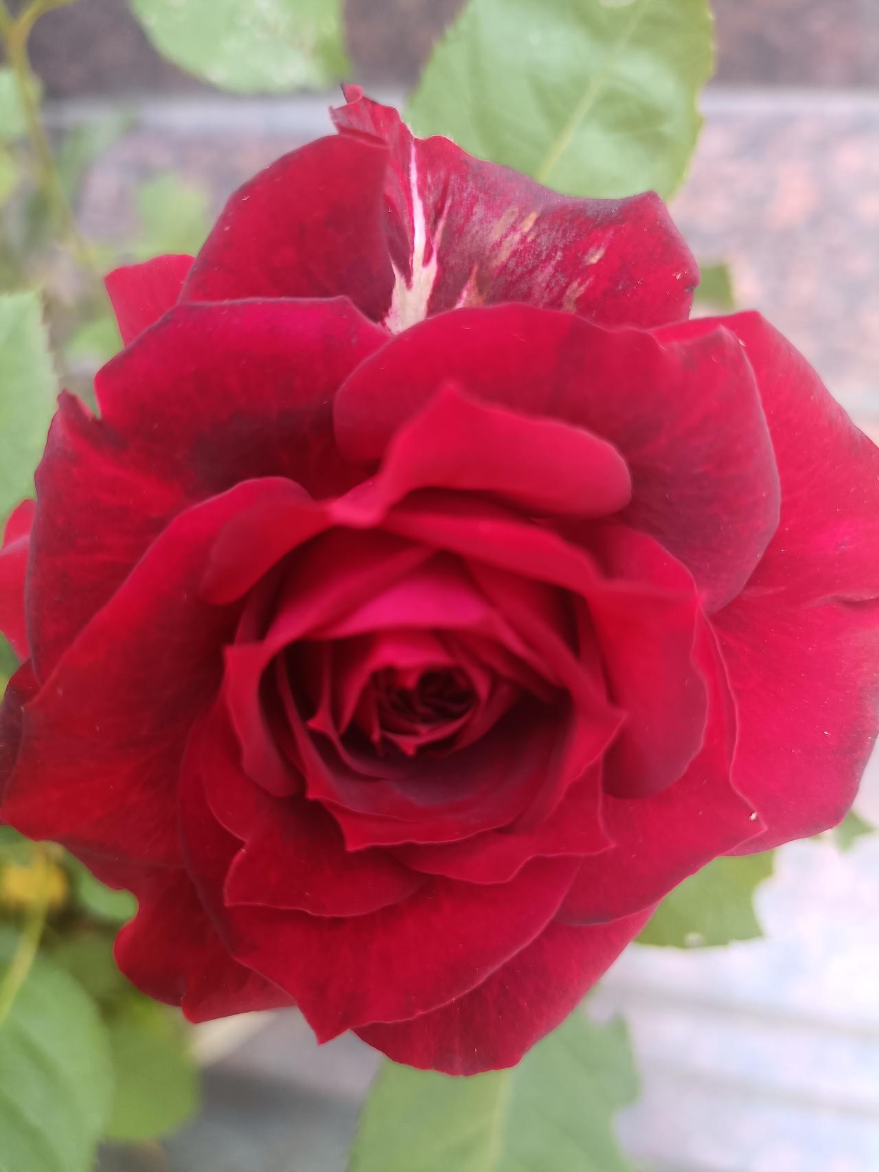 创作者的热点是什么