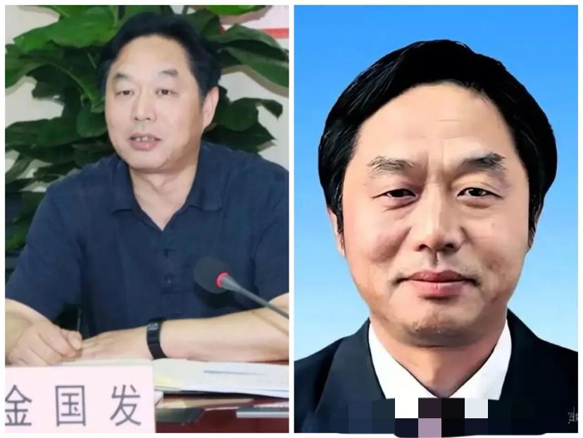 武汉金国发栽跟头的细节终于公开了，看得我五味杂陈。

金国发深耕武汉城建领域多年