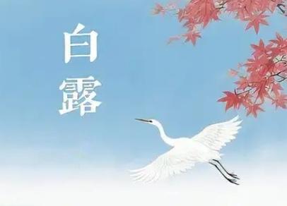 关于白露的习俗和男女之别，这两者其实是不同维度的话题。传统习俗大多是男女共同参与