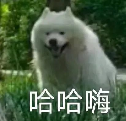 救命！是超超超超沙雕的表情包呀 ̊ଳ ̊ 更新不易，拿图点赞[心]更多表情包请看