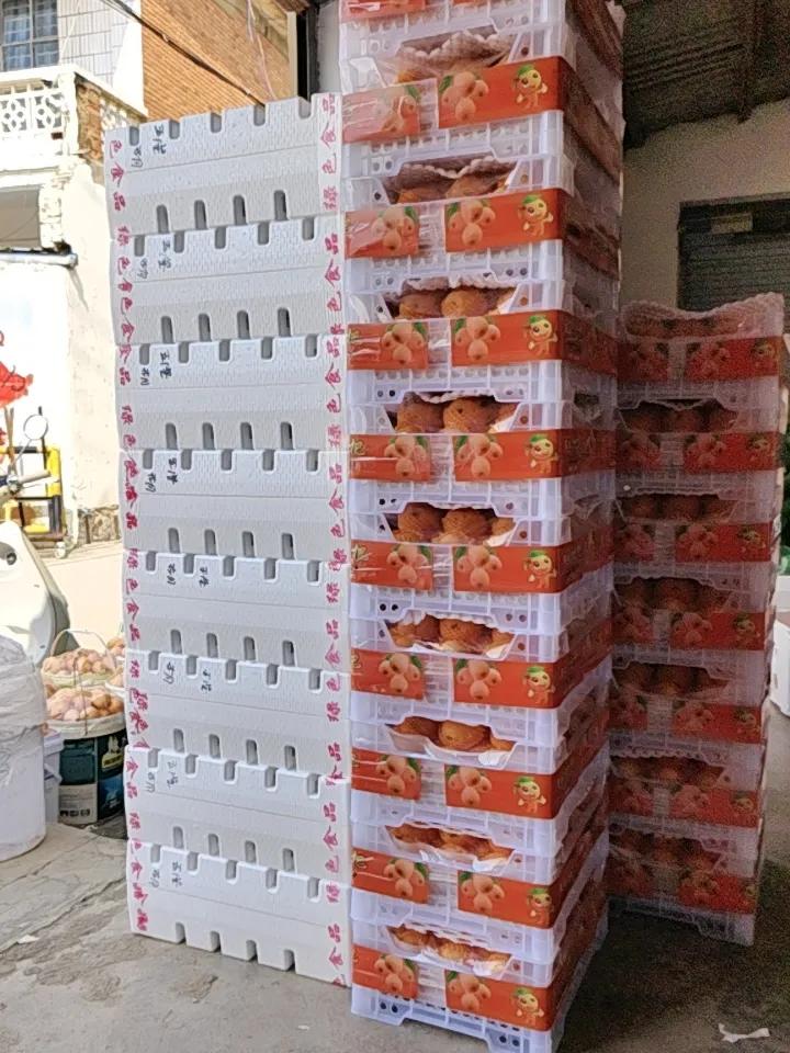 昨天尾盘抄底成功了！
今天A股市场整体呈现出“探底回升、缩量反弹”的态势。最终三