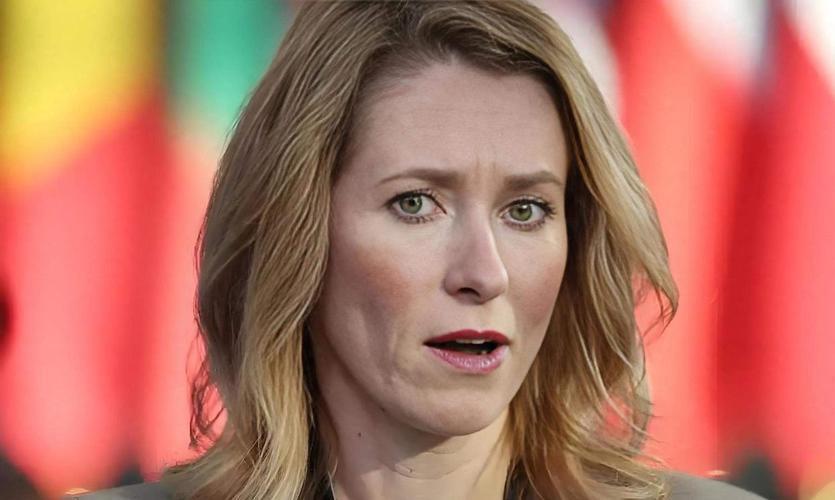 欧洲高官
火速谴责政治暴力，为何偏偏对美国根源只字不提？
 
4月25日晚，华盛