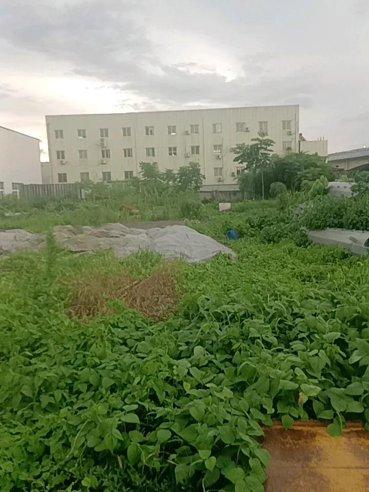 下班打卡走出车间，不曾想一场阵雨说来就来。
车间里闷热熬了一整天，本想着早点返程