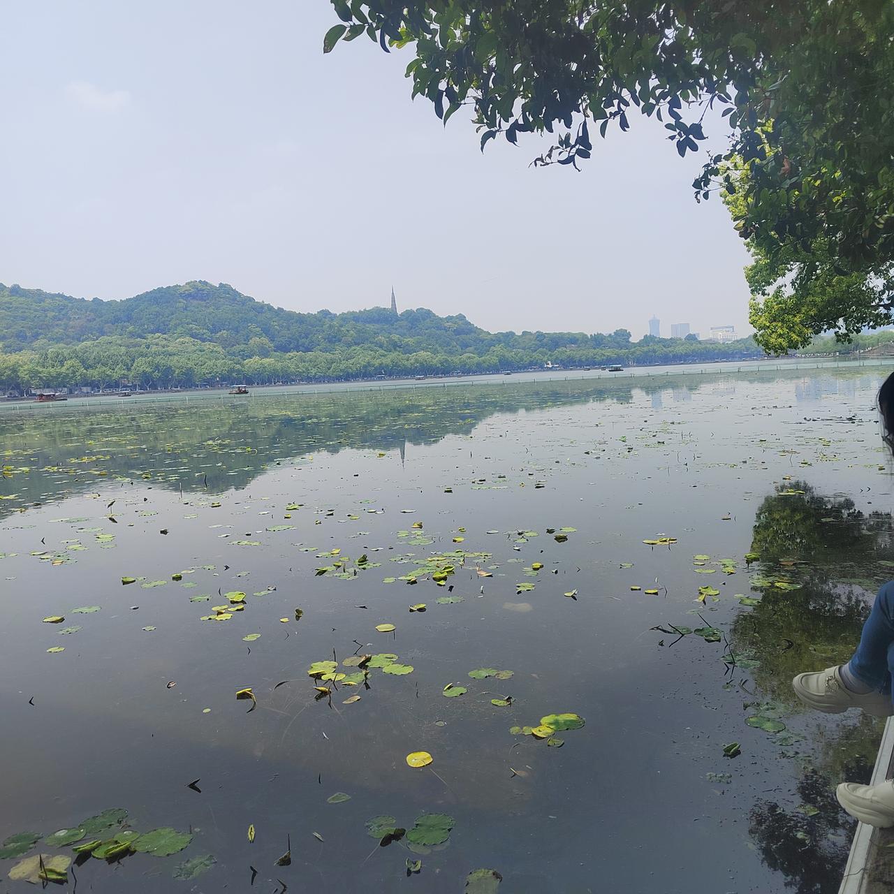 保俶塔（别名：保叔塔、宝石塔、宝所塔、保所塔）是一处始建于五代吴越时期的古建筑，