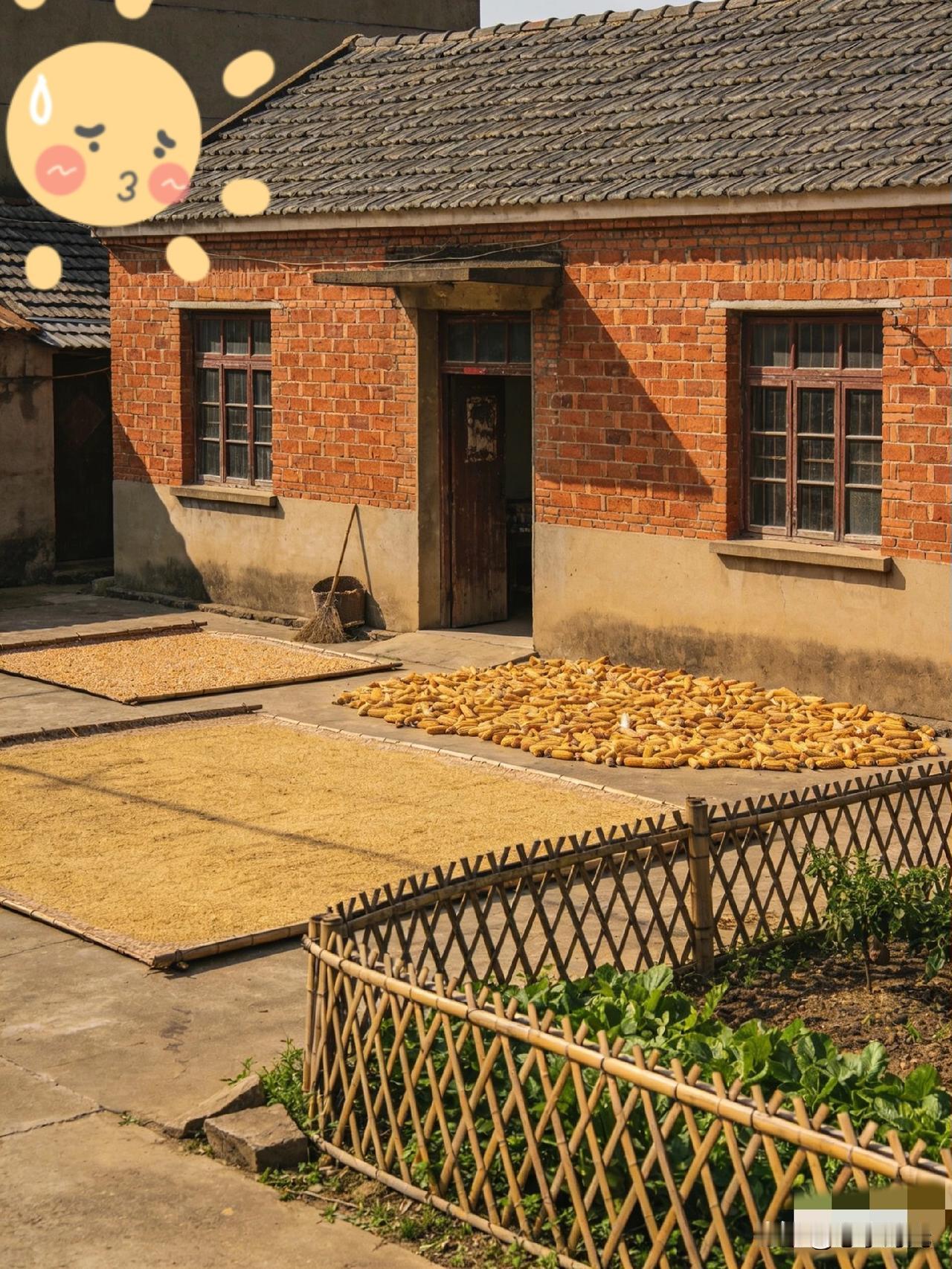 一号文件一下来，不少城镇户口的人都在感慨选择的重要性！
2026年中央一号文件已