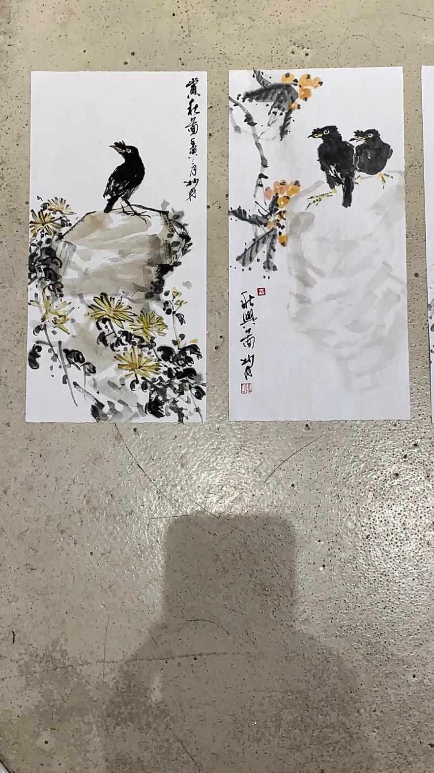 日课402～八哥练习
