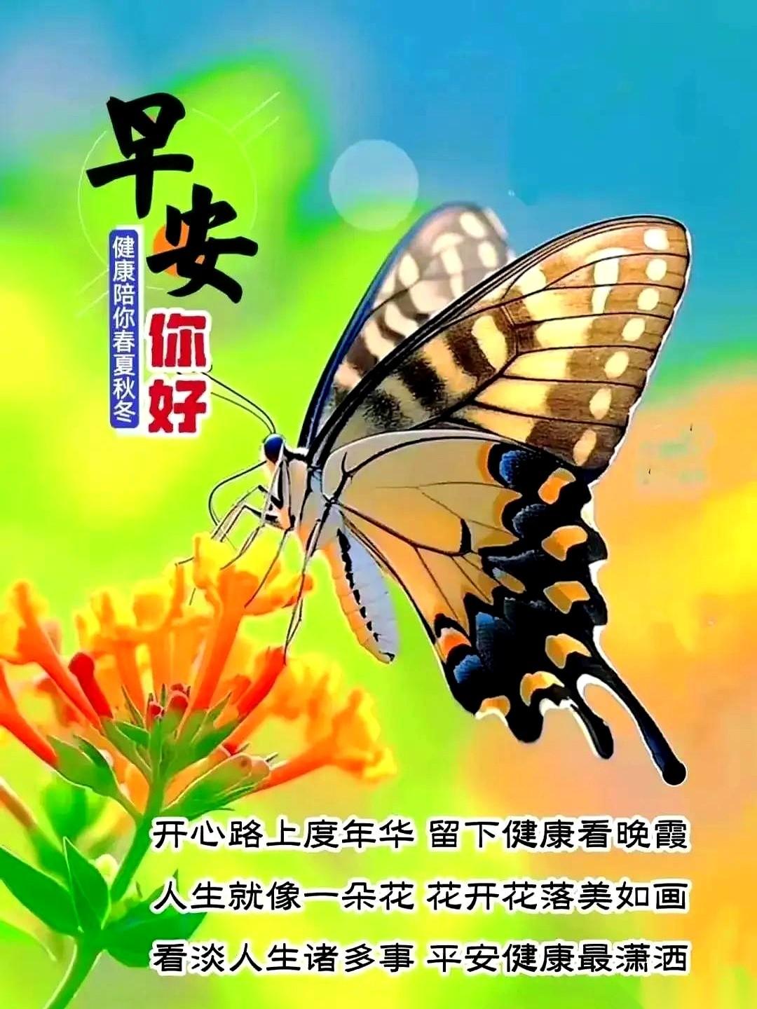 我跟老王斗了二十年。
从抢同一个项目，到争同一个车位，连谁家孩子先考上重点中学，