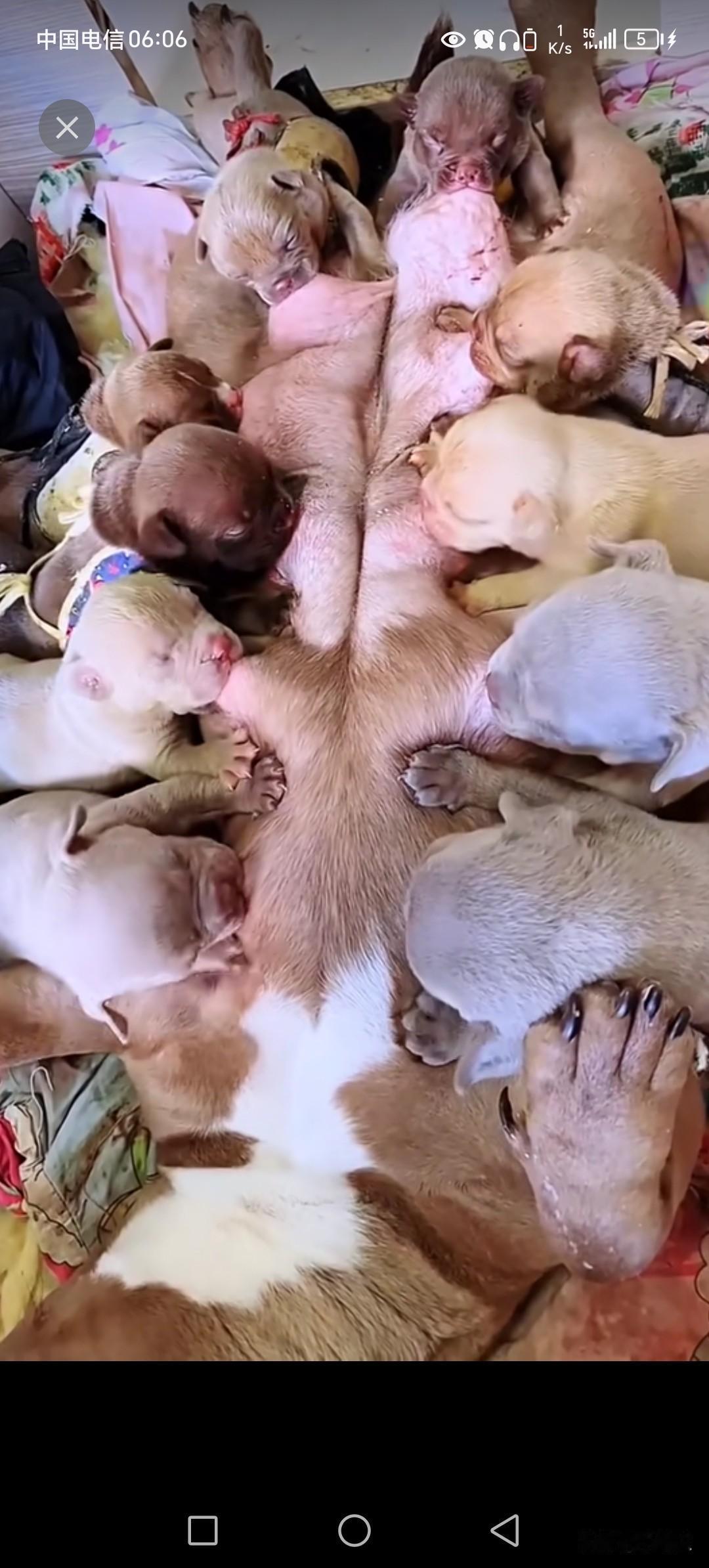 吃大锅饭的日子，为什么都吃的那么香。