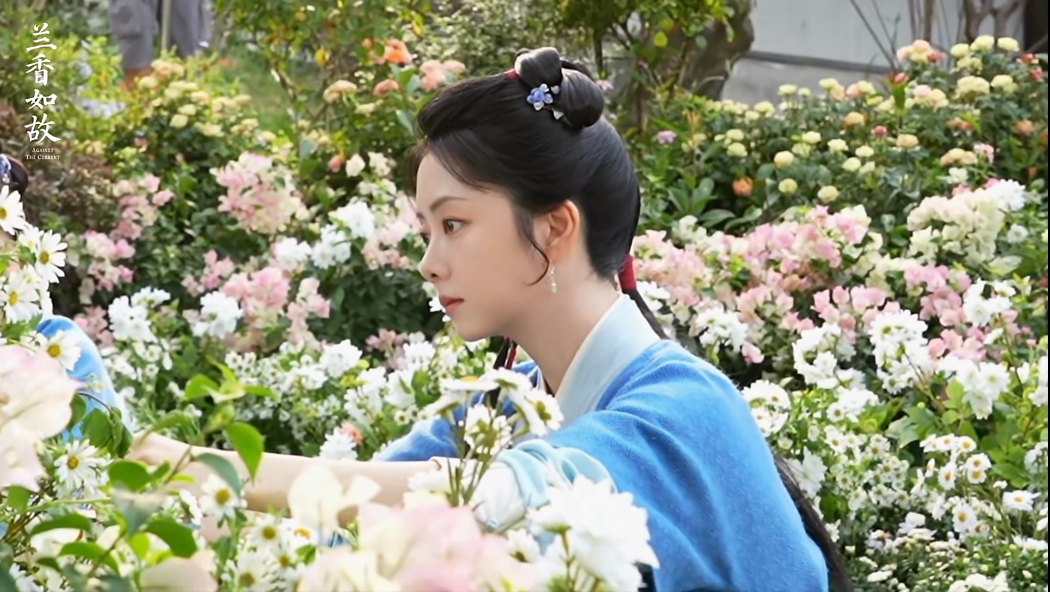 随手截的许兰香\沈嘉兰请跑步入场这个兰香如故谭松韵0531生日快乐谭松韵兰香如故