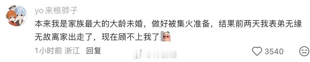 不回家过年 很好，挡箭牌还在