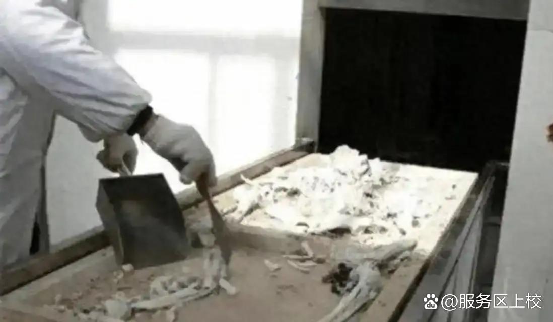 一位火葬场工作人员说：“人死后，一是要火化，二是火化后，不要领骨灰，让火葬厂处理
