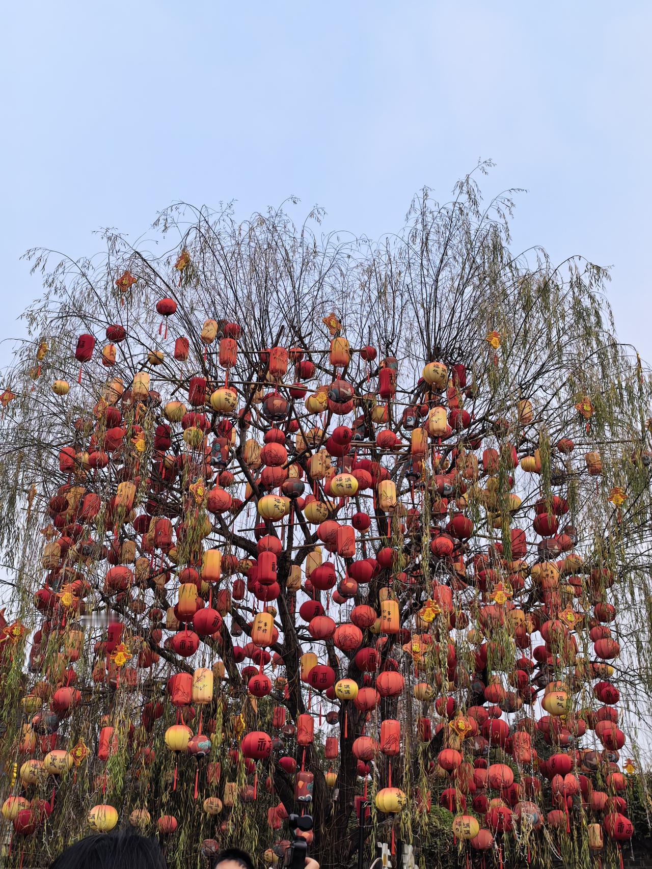 75岁的母亲和大她2岁的77岁的侄儿联系上了，这两个从小是亲密的玩伴，外婆在做了