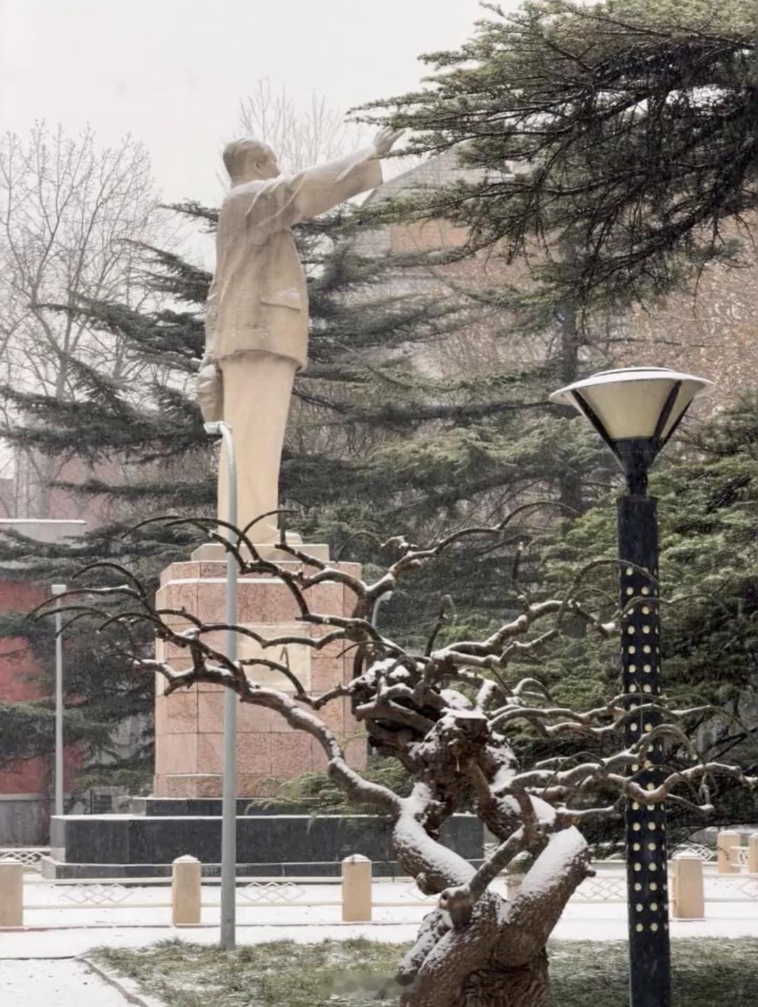 所有写雪的句子，都停在书页里。所有文人墨客的雪，只限于落在砚台、孤舟或独钓的蓑衣