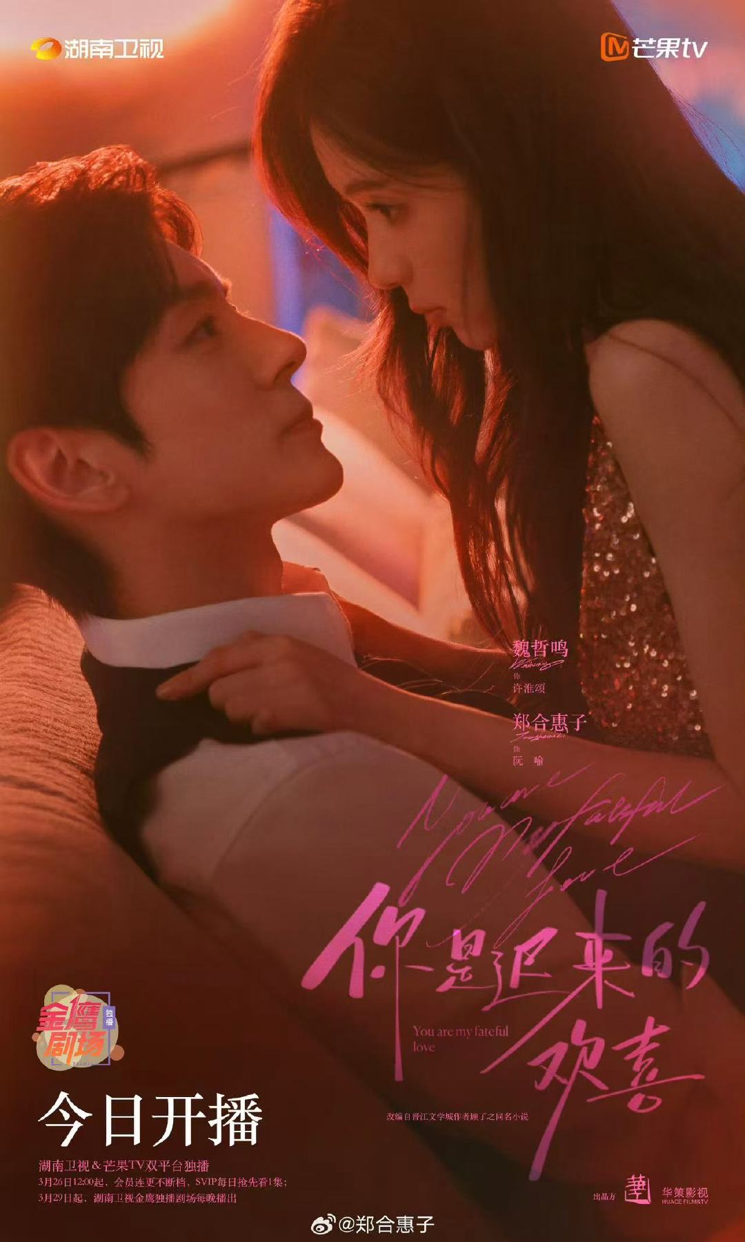 魏哲鸣郑合惠子你是迟来的欢喜开播海报魏哲鸣郑合惠子开播海报魏哲鸣郑合惠子你是迟来