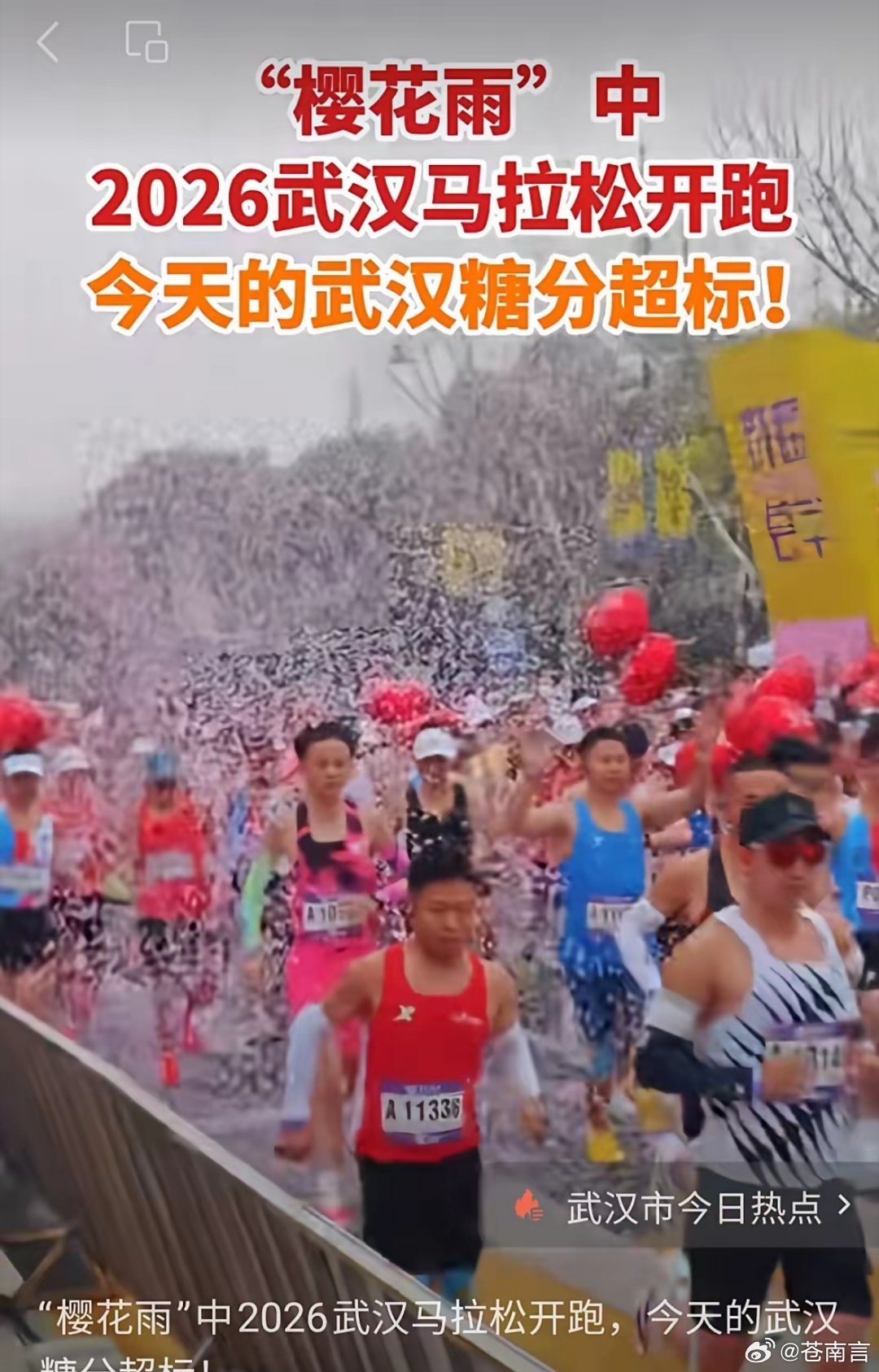 武汉马拉松下起樱花雨发令枪一响，炮车向空中喷出樱花花瓣，纷纷飘向运动员，和他们五
