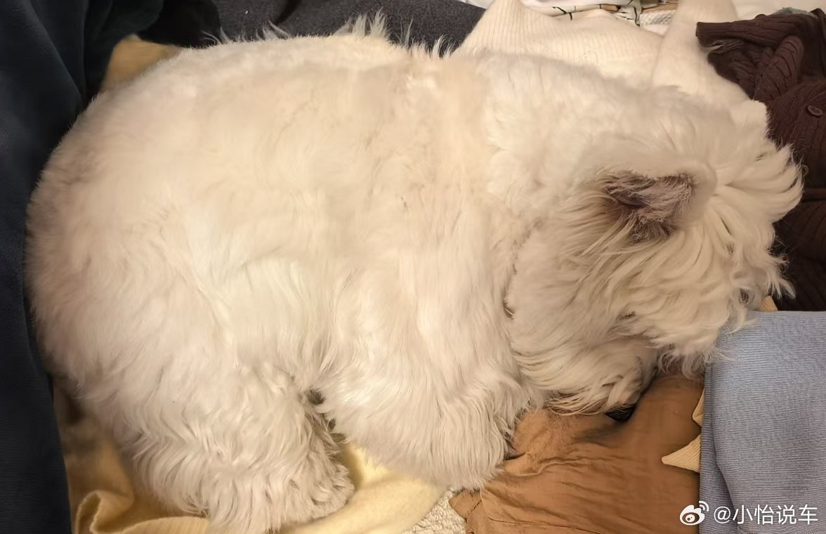 有财给你们说晚安喽🌙 