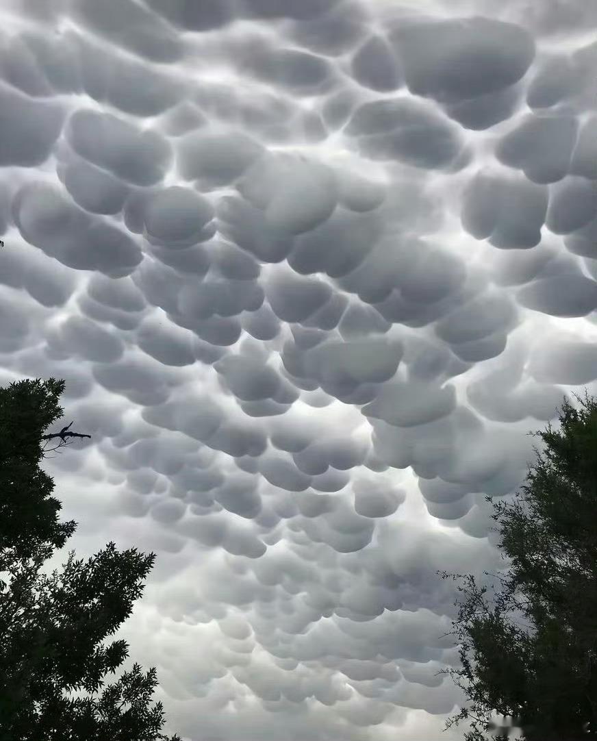 乳状云 特大暴雨作为气象爱好者我表示看见这样的云会忍不住一直看，太壮观了！ 