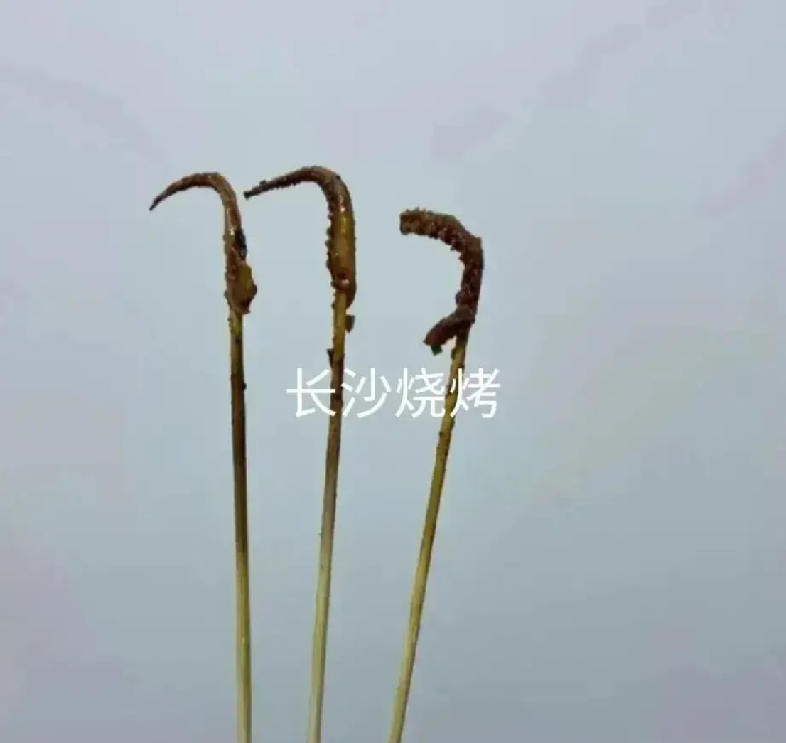 #长沙的烧烤分量真的这么少吗#说实话，作为一个南方人我还是喜欢长沙烧烤，不喜欢淄