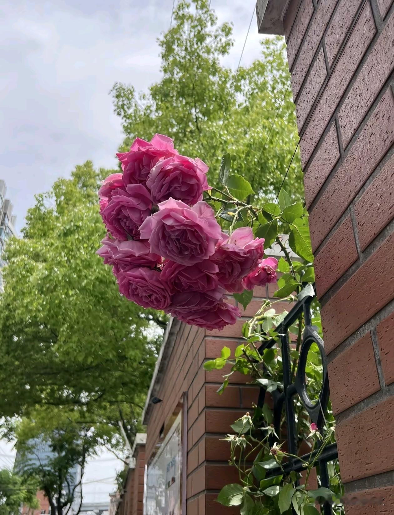 清风别暮春，暖夏赴新程。