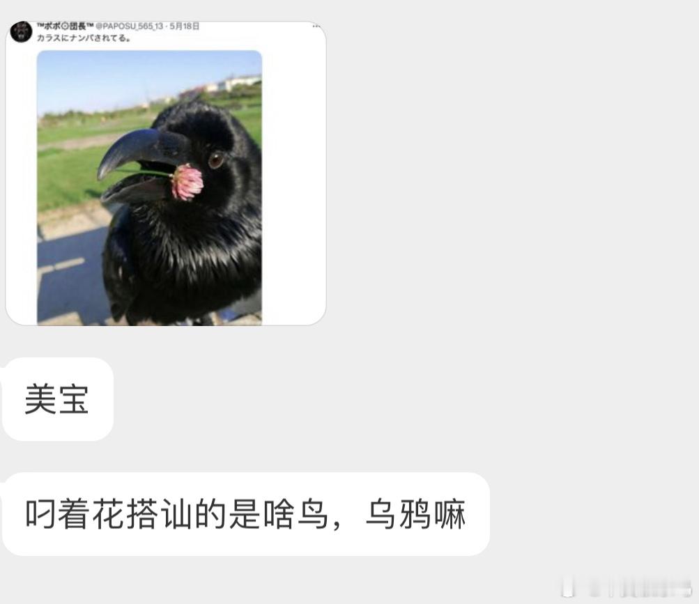？？？是一只大嘴乌鸦 ​​​