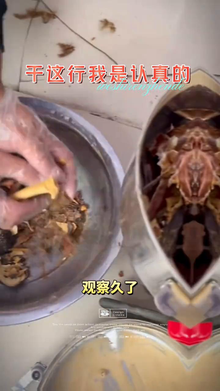 你观察半年是我，观察一年还是我，观察三年依然是我，观察久了自然就放心了。干这行我