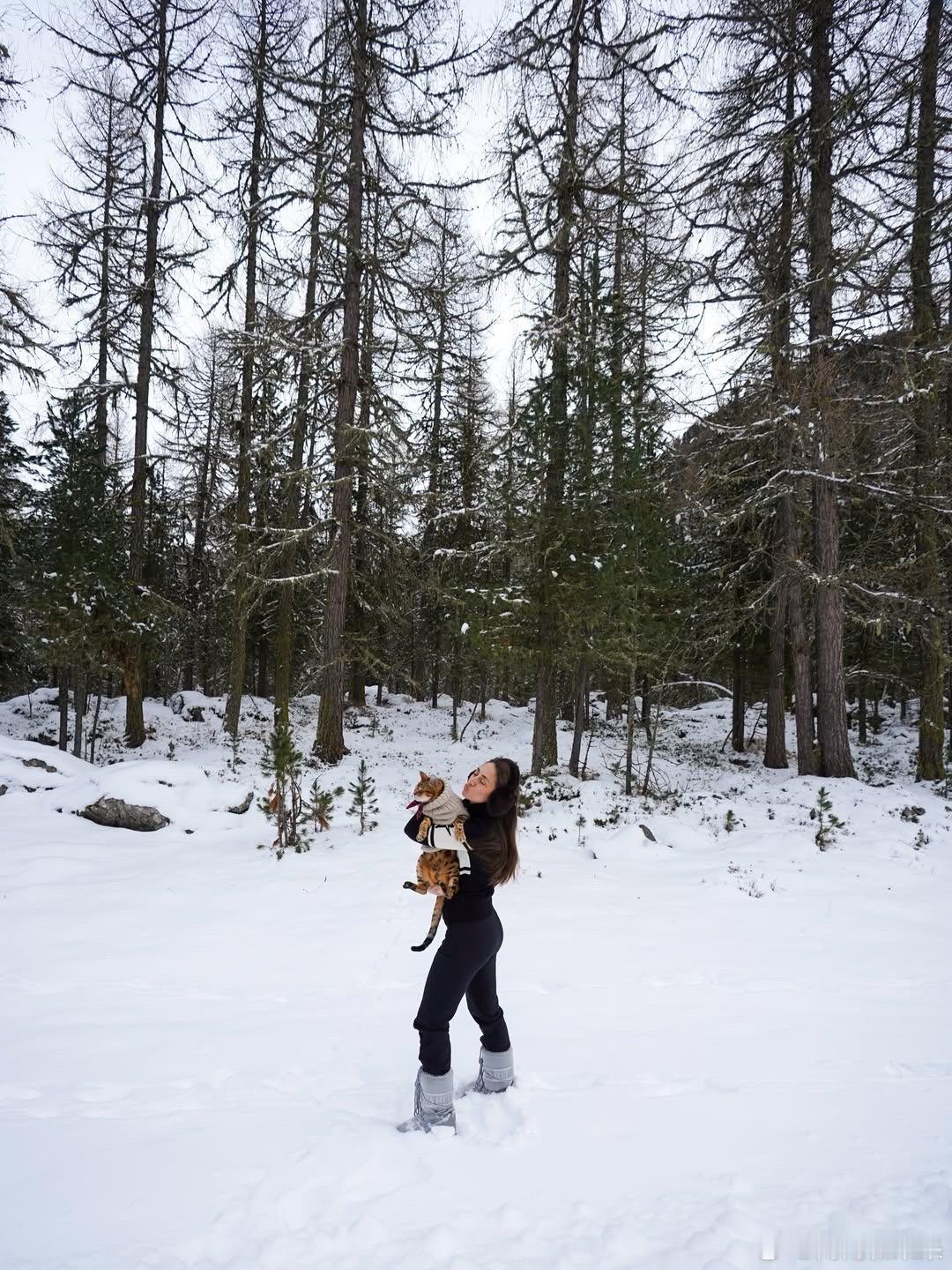 ❄️cr：thebengalalex 