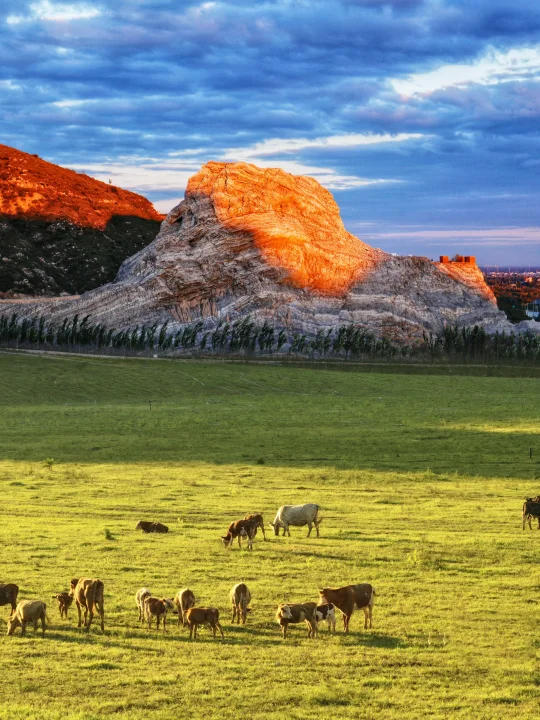 慢人节｜不是川西‼️北京1h的日照金山