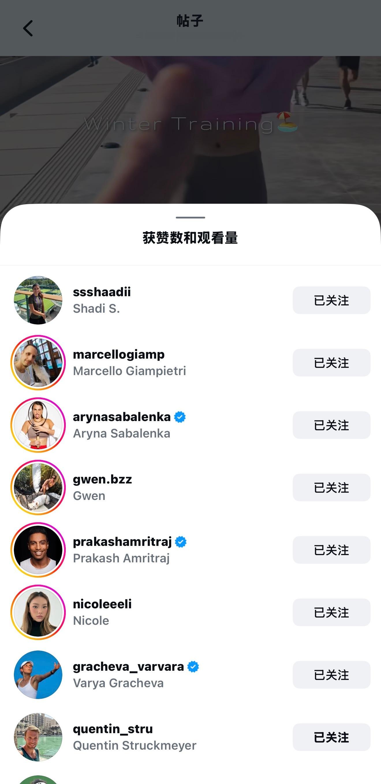 莎迪姐姐也给文点赞了 