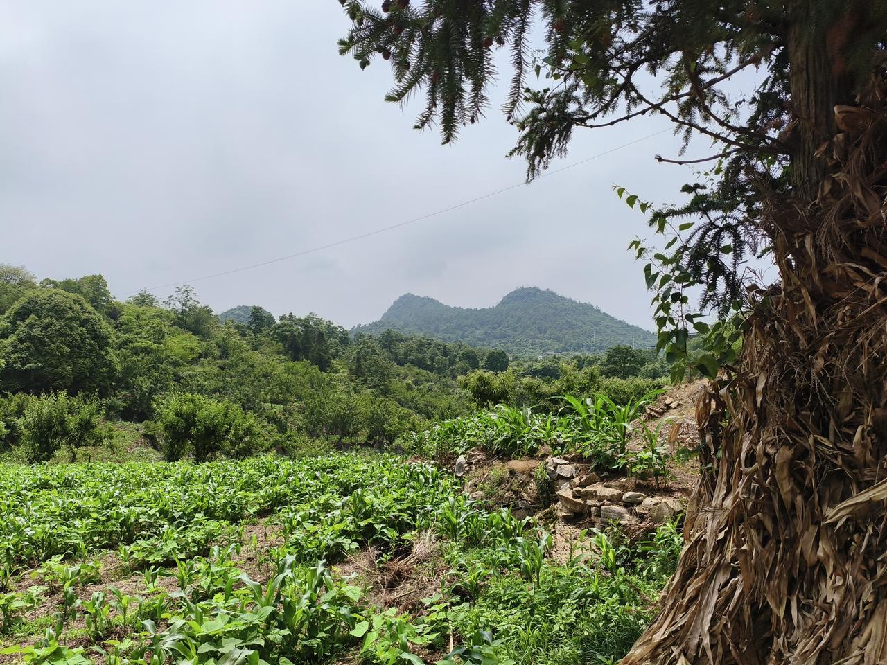 默克尔：我希望十年后，俄乌冲突能结束，届时，乌克兰成为一个独立自主的国家！
