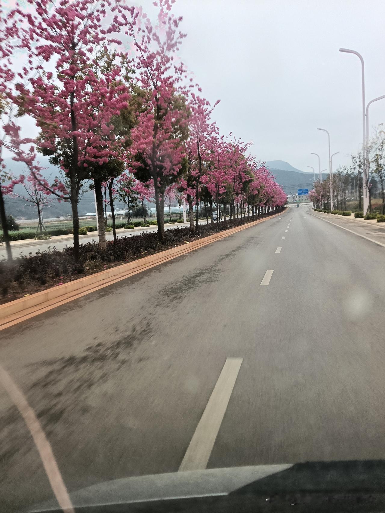 晒一张你相册里的照片