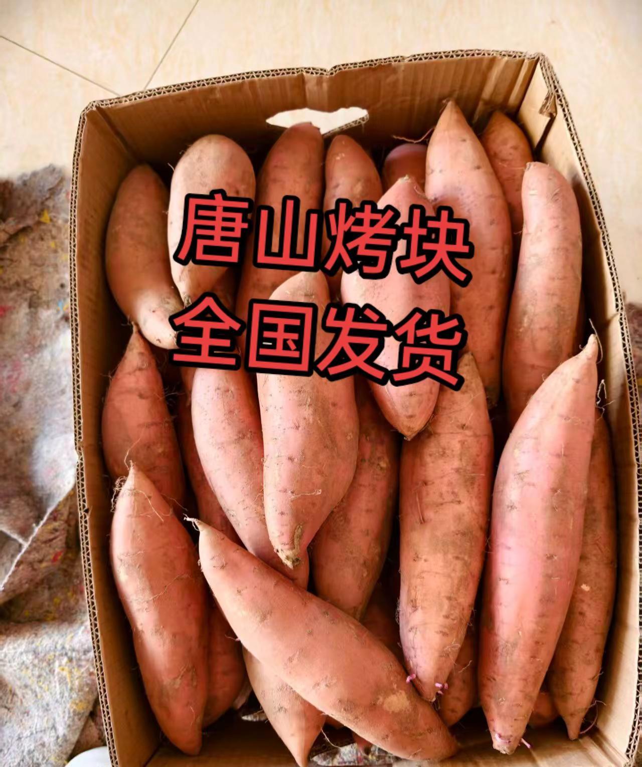 软嫩香甜 吃红薯的季节 新鲜发货 农家散养无添加 新鲜现挖红薯
