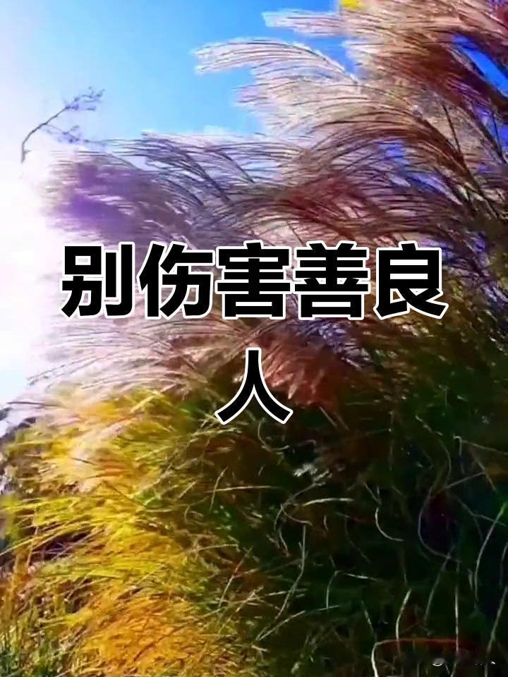 善良
是一种美德
更是格局
善良
是刻在骨子里的
是发自内心的
是无法用价值衡量