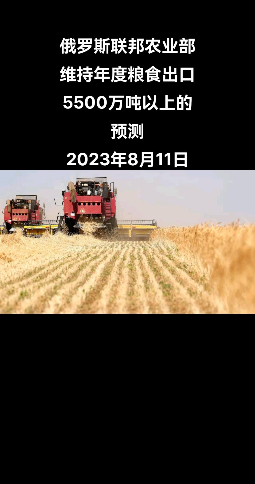 俄罗斯卫星通讯社莫斯科8月10日电 俄罗斯联邦农业部部长德米特里•帕特鲁舍夫对记