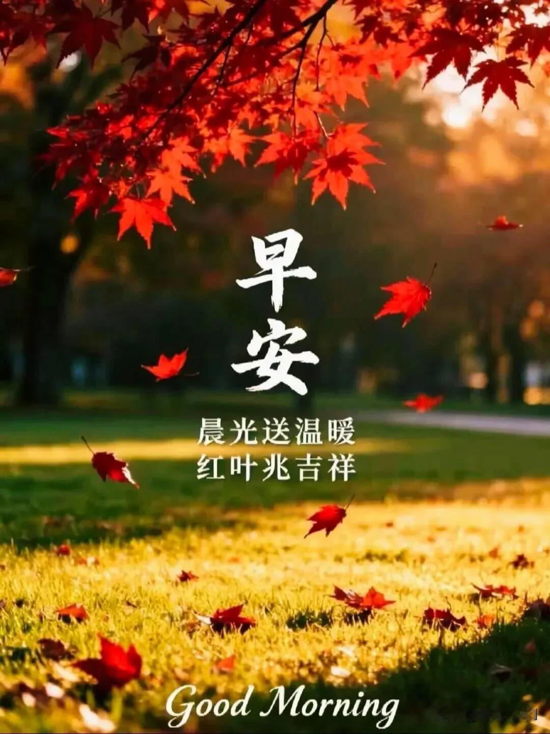 秋染红叶，晨送吉祥，新的一天，愿健康与好运常伴身旁。