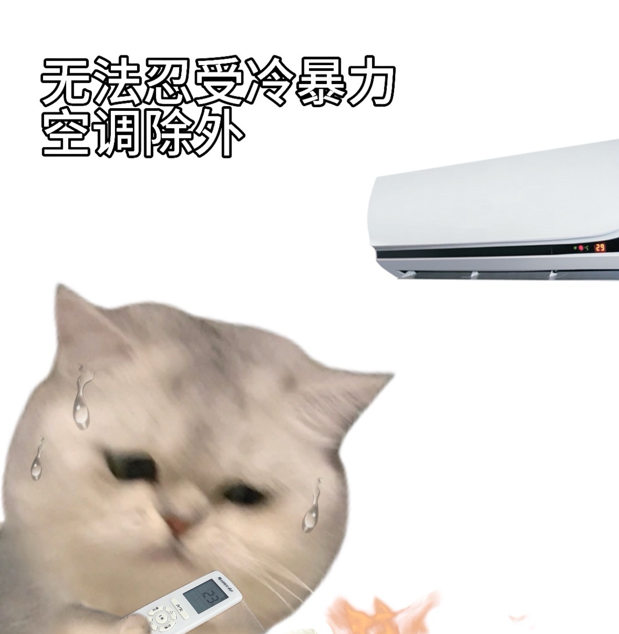 欧洲年轻人爱上中国空调有个朋友在欧洲留学，最近每天都在跟我疯狂吐槽，欧洲空调普及
