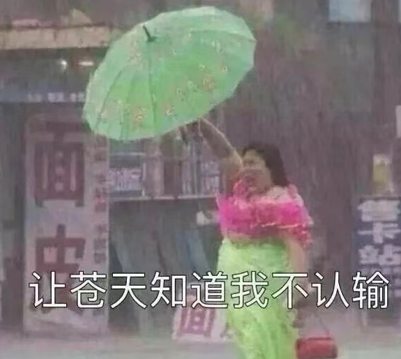 只要我卷得够快，台风就追不上我的KPI！公司是我家，风雨再大也不怕！摸摸自己湿透
