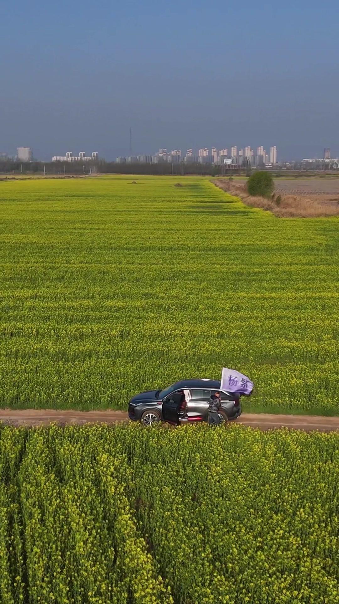 在人生最低谷的时候，一部《生命树》里的白菊真的被杨紫演活了，那棵树就像在告诉我，