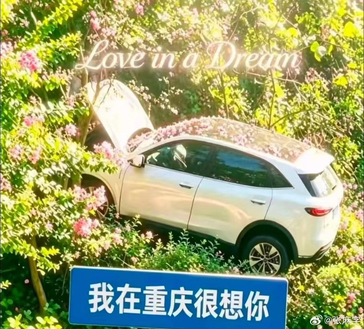 中国人能飞 这下真的中国人能飞了中国车也能飞重庆鹅岭飞车悬空堪比ai特效