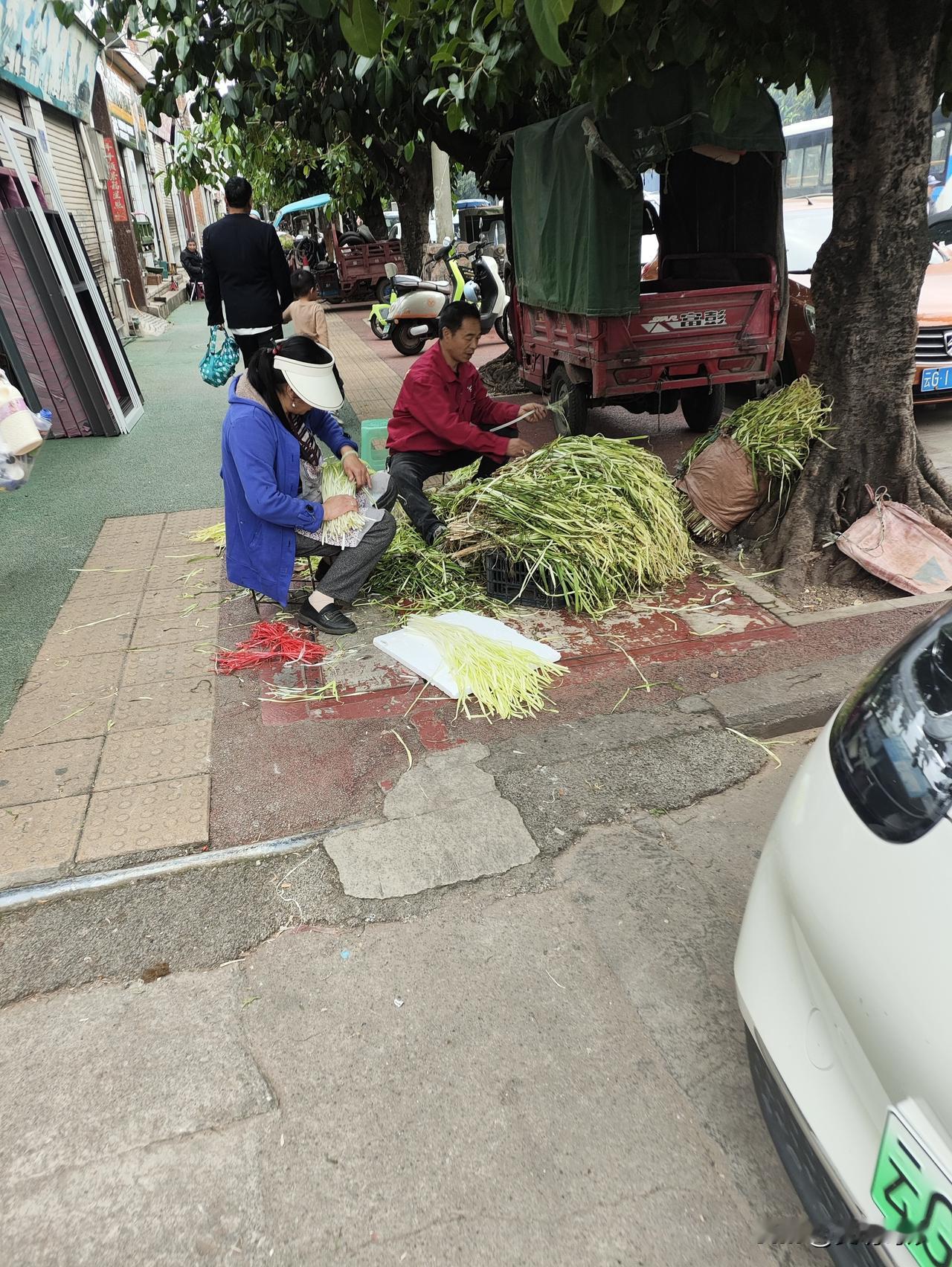 你问我答在弥勒，到处都有这种剥韭菜的，但在弥勒的饭店里看不到卖啊？他们究竟是卖到